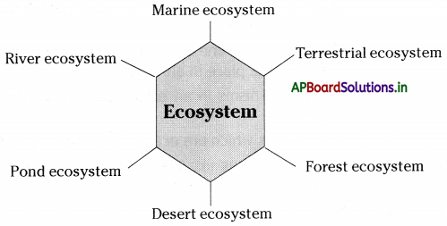 AP Board 8th Class Biology Notes Chapter 7 Different Ecosystems 1