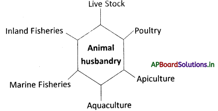 AP Board 8th Class Biology Notes Chapter 9 Production and Management of Food From Animals 1