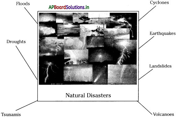 AP Board 8th Class Social Studies Notes Chapter 24 Disaster Management 1