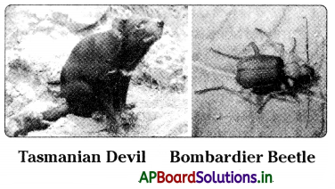 AP Board 9th Class Biology Notes Chapter 7 Animal Behaviour 2