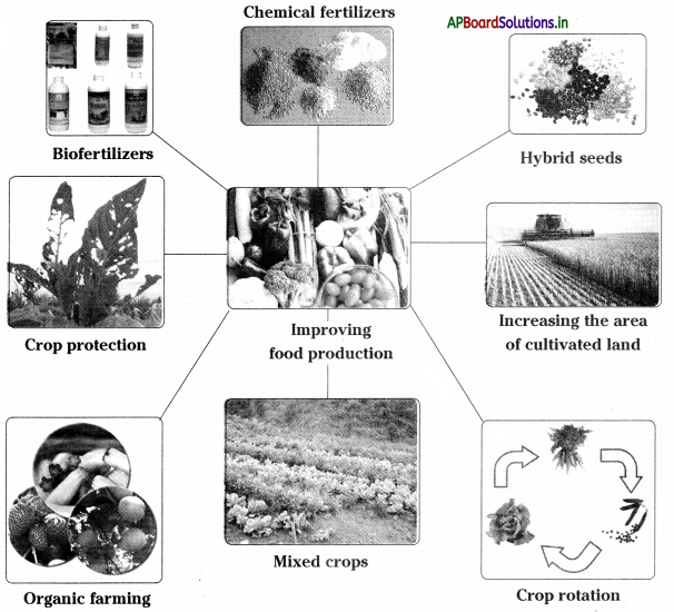 AP Board 9th Class Biology Notes Chapter 8 Challenges in Improving Agricultural Products 1