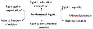 AP Board 9th Class Social Studies Notes Chapter 21 Human Rights and ...