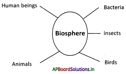 AP Board 9th Class Social Studies Notes Chapter 5 Biosphere 1