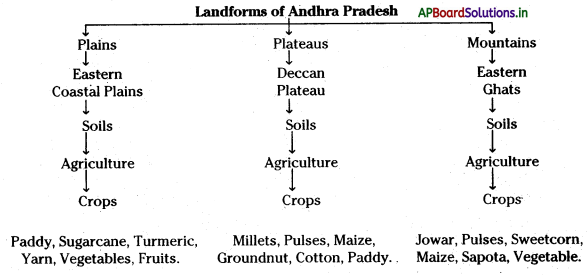 AP Board 6th Class Social Studies Notes Chapter 4 Land Forms – Andhra Pradesh 1