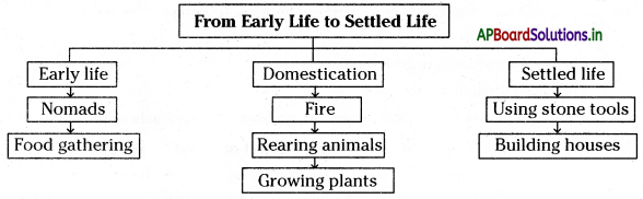 AP Board 6th Class Social Studies Notes Chapter 5 Early Life to Settled Life 1
