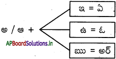 AP Board 6th Class Telugu Solutions Chapter 11 డూడూ బసవన్న 2