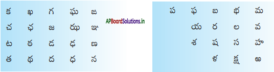 AP Board 6th Class Telugu Solutions Chapter 4 సమయస్పూర్తి 2