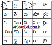 AP Board 7th Class Telugu Solutions Chapter 8 నిజం-నిజం 2