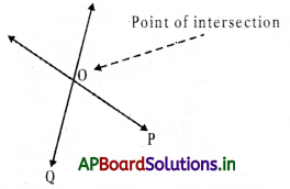 AP 7th Class Maths Notes 4th Lesson Lines and Angles 6