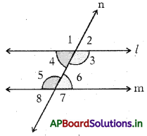 AP 7th Class Maths Notes 4th Lesson రేఖలు మరియు కోణాలు 12