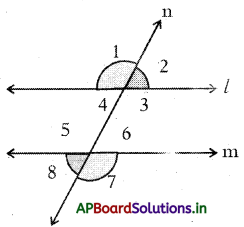 AP 7th Class Maths Notes 4th Lesson రేఖలు మరియు కోణాలు 13