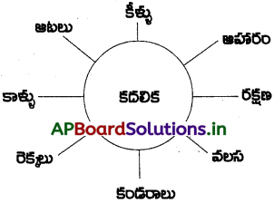 AP 6th Class Science Notes Chapter 12 కదలిక – చలనం 1