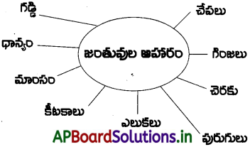 AP 6th Class Science Notes Chapter 3 జంతువులు 1