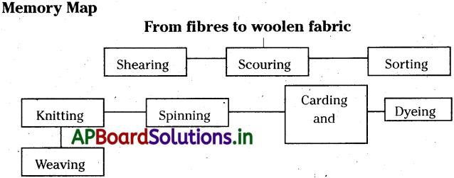 AP 7th Class Science Notes 11th Lesson Fibres and Fabrics 1