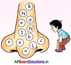 AP Board 1st Class English Solutions Lesson 3.1 My Fun 17