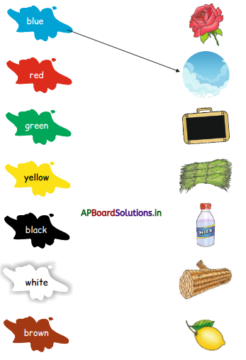 AP Board 1st Class English Solutions Lesson 4.2 Colours 4