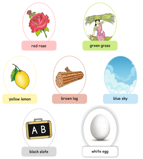 AP Board 1st Class English Solutions Lesson 4.2 Colours 6