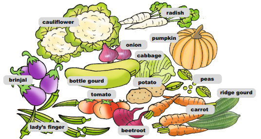 AP Board 1st Class English Solutions Lesson 5.2 Vegetables 2