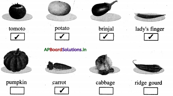 AP Board 1st Class English Solutions Lesson 5.2 Vegetables 4