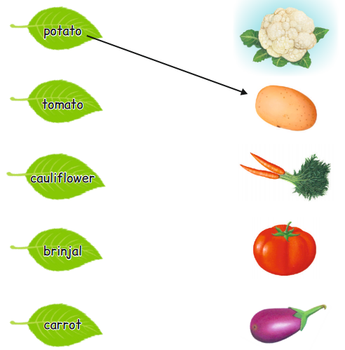 AP Board 1st Class English Solutions Lesson 5.2 Vegetables 5