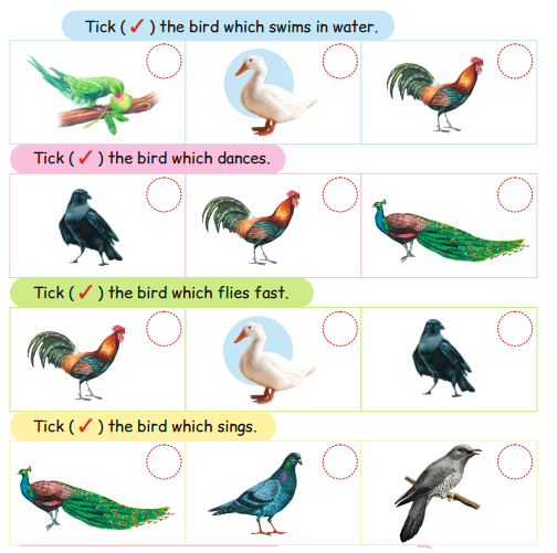 AP Board 1st Class English Solutions Lesson 6.1 Birds 4