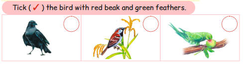 AP Board 1st Class English Solutions Lesson 6.1 Birds 5