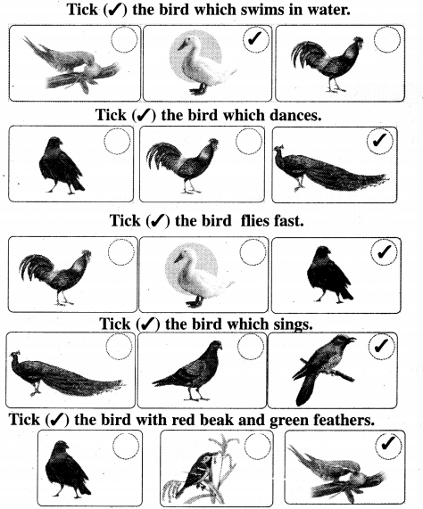 AP Board 1st Class English Solutions Lesson 6.1 Birds 6