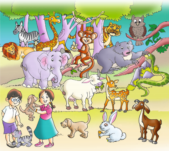 AP Board 1st Class English Solutions Lesson 6.2 Animals Around Us 2