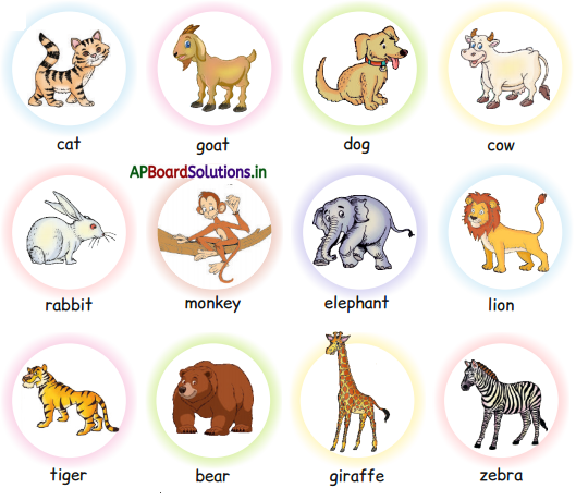AP Board 1st Class English Solutions Lesson 6.2 Animals Around Us 3