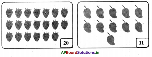 AP Board 1st Class Maths Solutions 5th Lesson Numbers (10 - 99) 14
