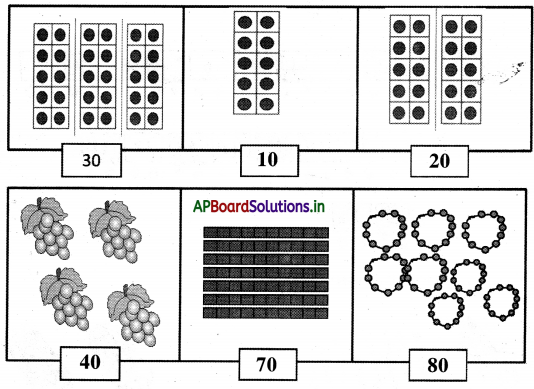 AP Board 1st Class Maths Solutions 5th Lesson Numbers (10 - 99) 48
