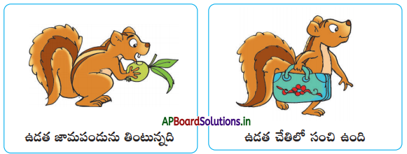 AP Board 1st Class Telugu Solutions 2nd Lesson మేలుకొలుపు, ఉడత ఉడత హూచ్ 21
