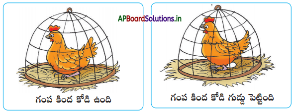 AP Board 1st Class Telugu Solutions 2nd Lesson మేలుకొలుపు, ఉడత ఉడత హూచ్ 4