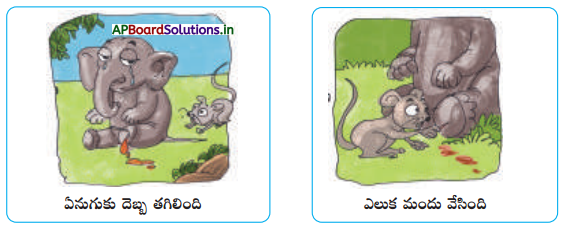 AP Board 1st Class Telugu Solutions 6th Lesson ఇల్లు - ఈగ, ఎలుకమ్మ 22