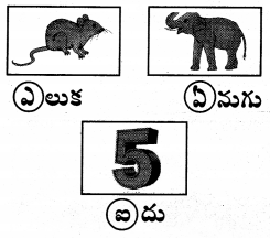 AP Board 1st Class Telugu Solutions 6th Lesson ఇల్లు - ఈగ, ఎలుకమ్మ 25
