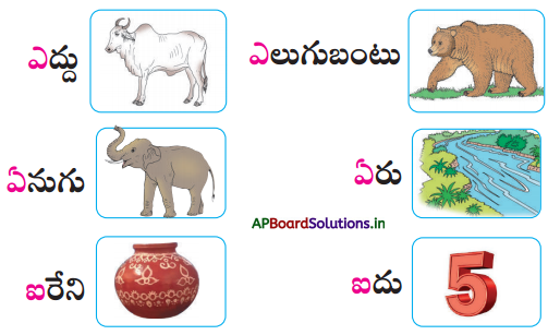AP Board 1st Class Telugu Solutions 6th Lesson ఇల్లు - ఈగ, ఎలుకమ్మ 27