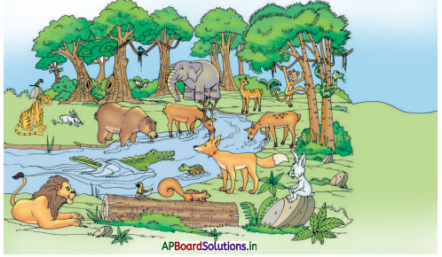 AP Board 1st Class Telugu Solutions 7th Lesson అమ్మ ఒడి, మేఘం - ఛత్రం 19