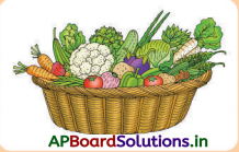 AP Board 3rd Class Maths Solutions 10th Lesson కొలతలు 10