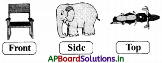 AP Board 3rd Class Maths Solutions 9th Lesson Shapes Around Us 12