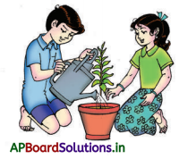 AP Board 3rd Class Telugu Solutions 3rd Lesson మంచి బాలుడు 10