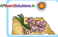 AP Board 3rd Class Telugu Solutions 7th Lesson పద్యరత్నాలు 6