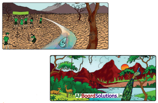 AP Board 4th Class English Solutions 8th Lesson The Tree and the River 1