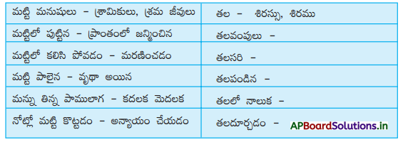 AP Board 4th Class Telugu Solutions 6th Lesson ముగ్గుల్లో సంక్రాంతి 7