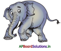 AP Board 4th Class Telugu Solutions 6th Lesson ముగ్గుల్లో సంక్రాంతి 8