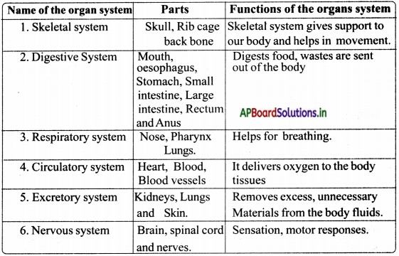 AP Board 5th Class EVS Solutions 4th Lesson Know Our Organ System 1