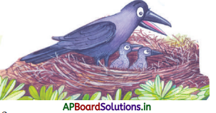 AP Board 5th Class Telugu Solutions 5th Lesson తోలుబొమ్మలాట - ఒక జానపదకళ 7