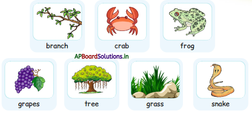 AP Board 1st Class English Solutions Lesson 8.2 Months of the Year 12