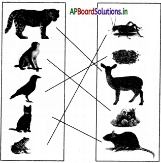 AP Board 3rd Class EVS Solutions 3rd Lesson Animals Around Us 11