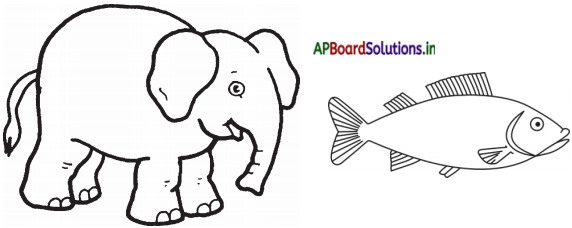 AP Board 3rd Class EVS Solutions 3rd Lesson Animals Around Us 3