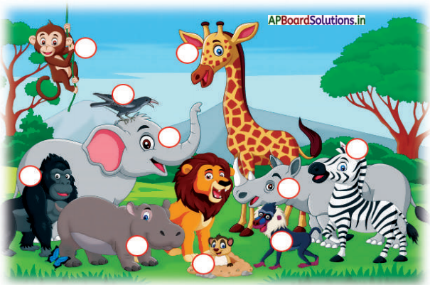 AP Board 3rd Class EVS Solutions 3rd Lesson Animals Around Us 5